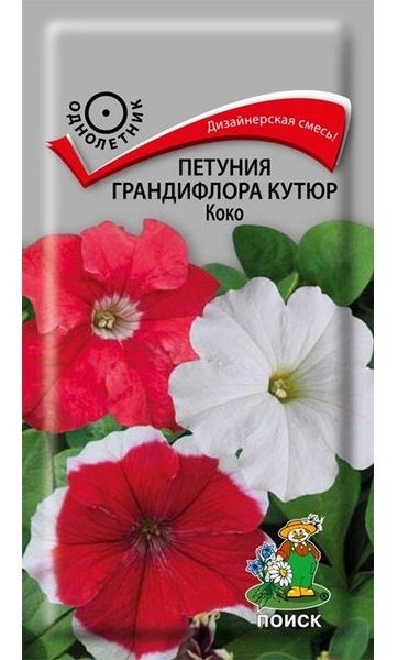 Однолетник Петуния грандифлора Кутюр Коко ЦВ Поиск
