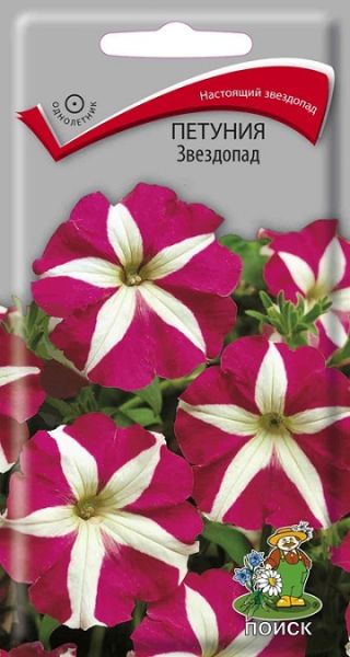 Однолетник Петуния Звездопад ЦВ Поиск