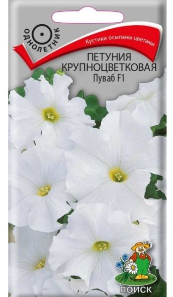 Однолетник Петуния крупноцветковая Пуваб F1 ЦВ Поиск