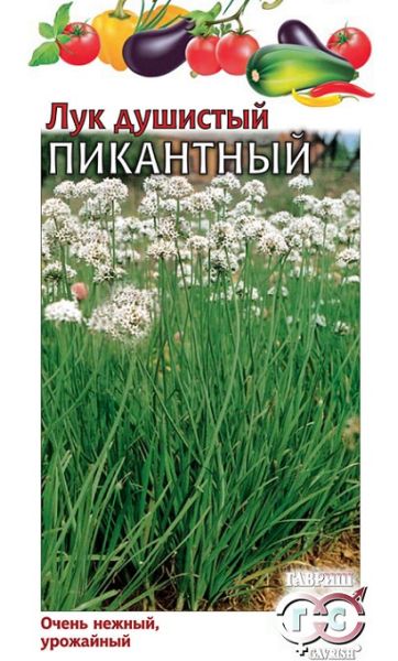 Лук Душистый ПИКАНТНЫЙ (0,5 грамм) Гавриш
