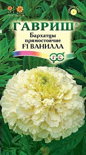 Однолетник Бархатцы пр. Ванилла Гавриш