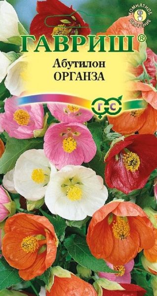 Комнатные Абутилон Органза смесь Гавриш