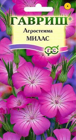 Однолетник Агростемма Милас Гавриш