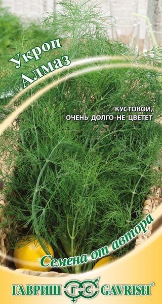 Укроп АЛМАЗ автор Гавриш