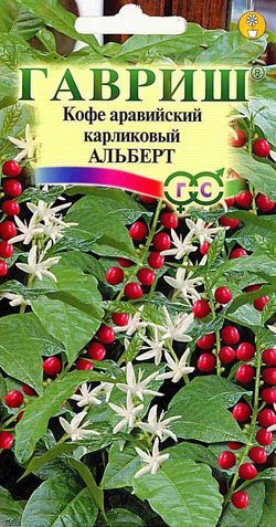Кофе аравийский карликовый АЛЬБЕРТ Гавриш