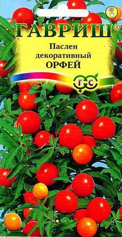 Паслен декоративный ОРФЕЙ Гавриш