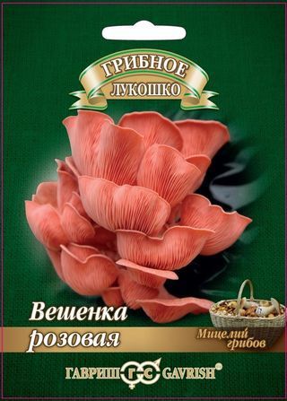 Грибы ВЕШЕНКА РОЗОВАЯ на древесн.палочке больш.пак. Гавриш