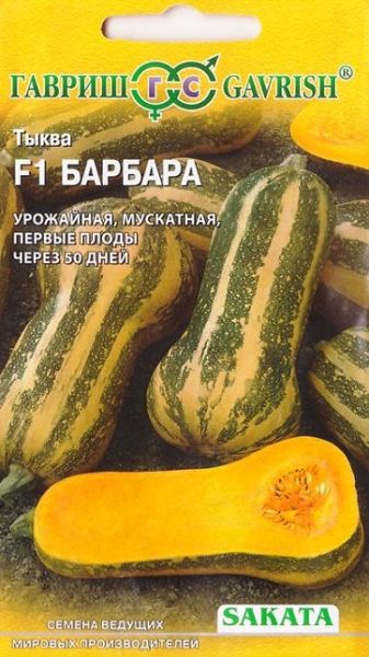 Тыква БАРБАРА F1 Саката Гавриш