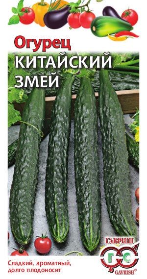 Огурец КИТАЙСКИЙ ЗМЕЙ Гавриш