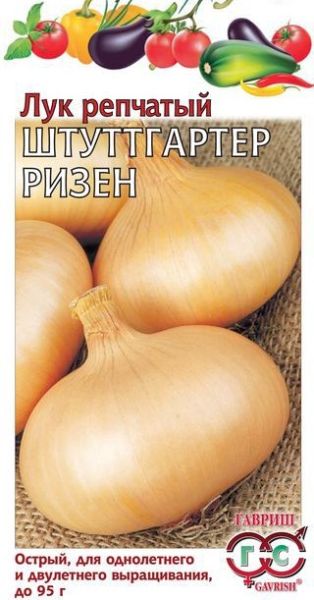 Лук Яровой ШТУТТГАРТЕР РИЗЕН Гавриш