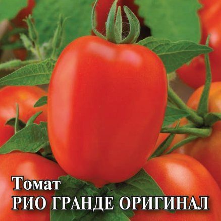 Томат РИО ГРАНДЕ ОРИГИНАЛ Гавриш