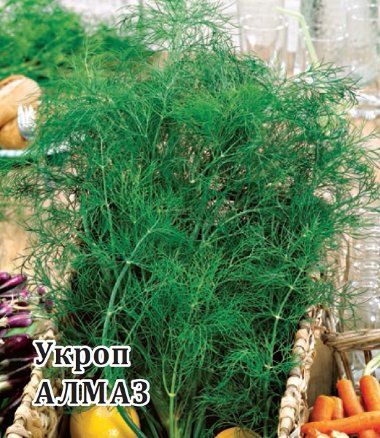 Укроп АЛМАЗ / ALMAZ Гавриш