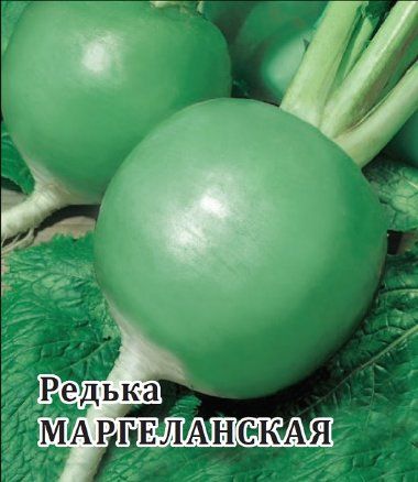Редька зеленая МАРГЕЛАНСКАЯ / MARGELANSKAY Гавриш
