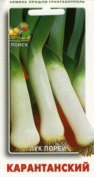 Лук порей КАРАНТАНСКИЙ ЦВ Поиск