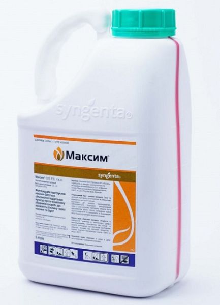 Протравитель МАКСИМ / MAKSIM Syngenta