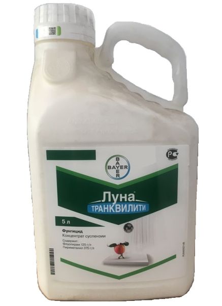 Фунгицид ЛУНА ТРАНКВИЛИТИ / LUNA TRANKVILITI Bayer