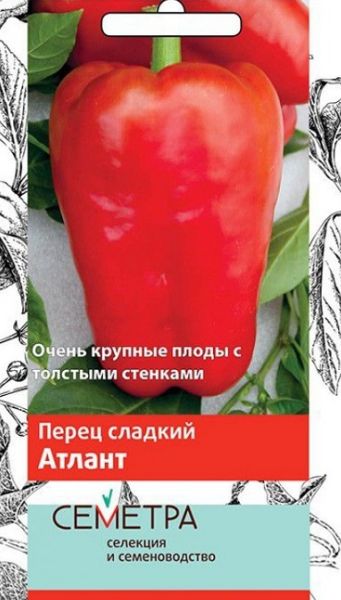 Перец сладкий АТЛАНТ Семетра Поиск