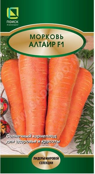 Морковь АЛТАИР F1 ЦВ Поиск