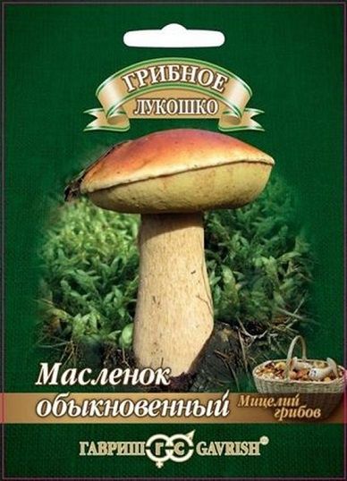 Грибы МАСЛЕНОК ОБЫКНОВЕННЫЙ на зерновом субстрате больш.пак. Гавриш