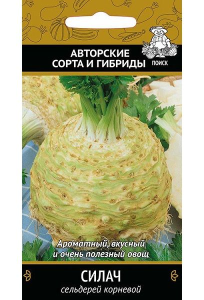 Сельдерей корневой СИЛАЧ ЦВ Поиск 