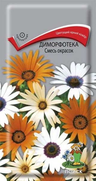 Однолетник Диморфотека Смесь окрасок ЦВ Поиск