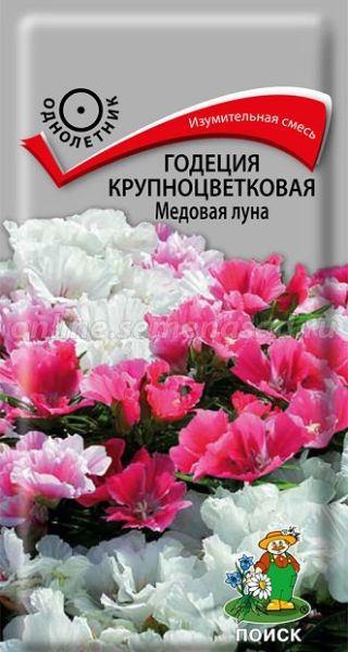 Однолетник Годеция крупноц. Медовая луна ЦВ Поиск