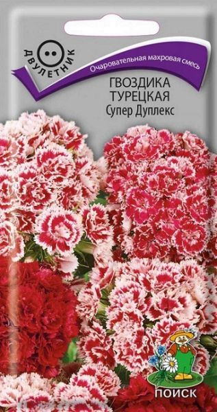 Двулетник Гвоздика Турецкая Супер Дуплекс ЦВ Поиск