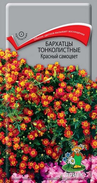Однолетник Бархатцы тонколистные Красный самоцвет ЦВ Поиск