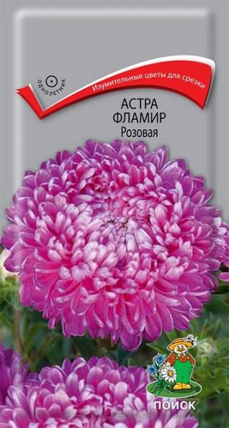 Однолетник Астра Фламир Розовая ЦВ Поиск