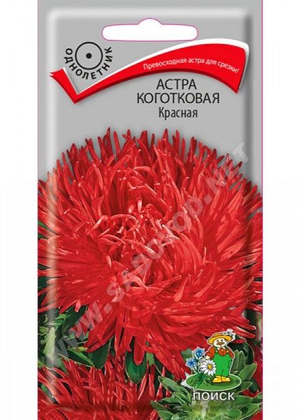 Однолетник Астра коготковая Красная ЦВ Поиск