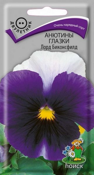 Двулетник Анютины глазки Лорд Биконсфилд ЦВ Поиск