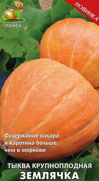 Тыква ЗЕМЛЯЧКА ЦВ Поиск