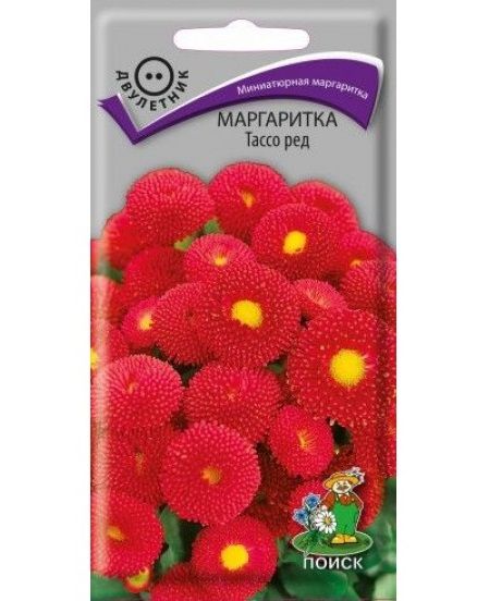 Многолетник Маргаритка Тассо ред ЦВ Поиск