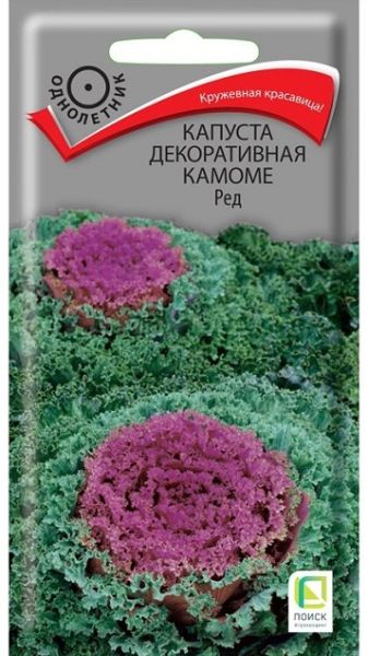 Капуста декоративная Камоме Ред ЦВ Поиск