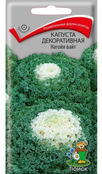 Капуста декоративная Камоме Вайт ЦВ Поиск