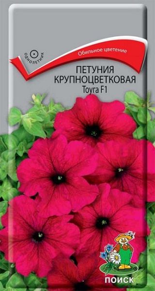 Однолетник Петуния крупноцв. Тоуга F1 ЦВ Поиск