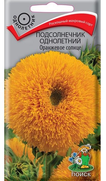 Однолетник Подсолнечник Оранжевое солнце ЦВ Поиск