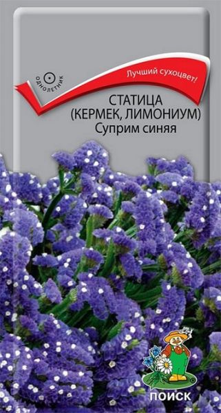 Однолетник Лимониум (Статица) выемчатая Суприм синяя ЦВ Поиск