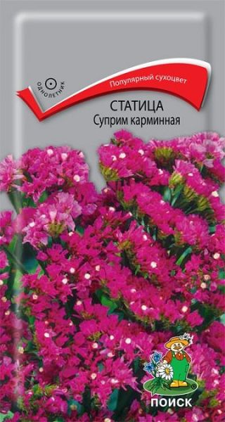 Однолетник Лимониум (Статица) выемчатая Суприм карминная ЦВ Поиск