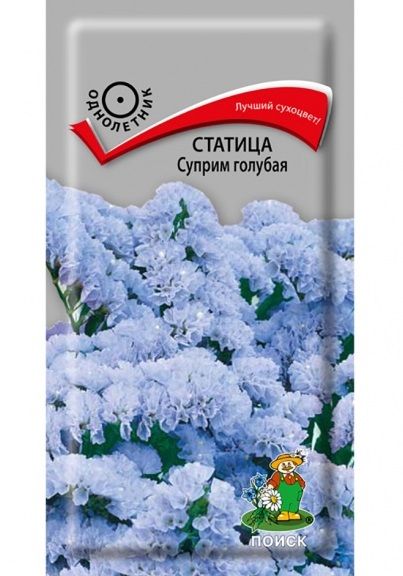 Однолетник Лимониум (Статица) выемчатая Суприм голубая ЦВ Поиск