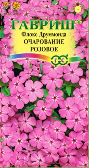 Однолетник Флокс Очарование розовое друммонда Гавриш