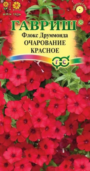 Однолетник Флокс Очарование красное друммонди Гавриш