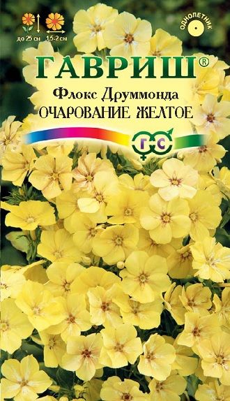 Однолетник Флокс Очарование желтое друммонди Гавриш