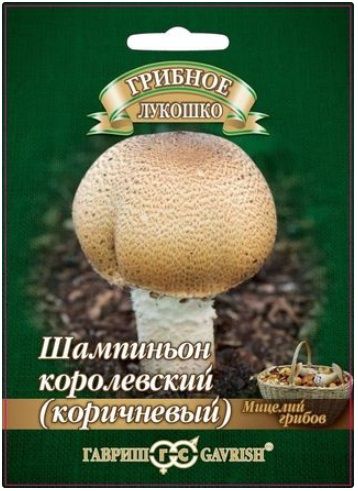 Грибы ШАМПИНЬОН КОРИЧНЕВЫЙ на зерновом субстрате больш. пак. Гавриш