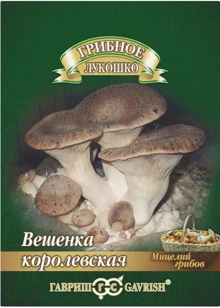 Грибы ВЕШЕНКА КОРОЛЕВСКАЯ на древесн.палочке больш. пак. Гавриш