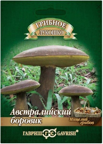 Грибы БОРОВИК АВСТРАЛИЙСКИЙ на зерновом субстрате больш.пак. Гавриш