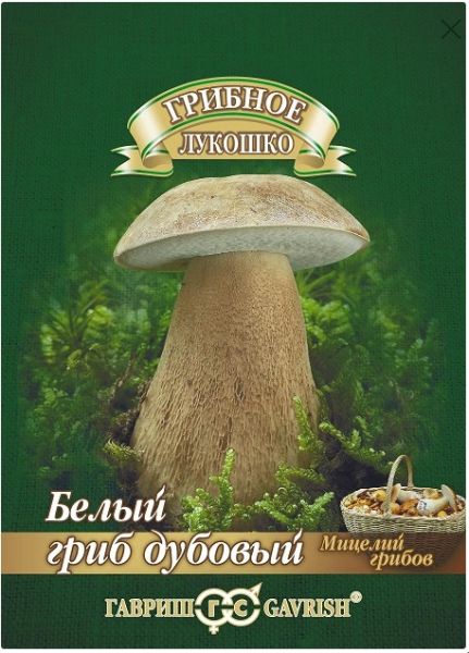 Грибы БЕЛЫЙ ДУБОВЫЙ на зерновом субстрате больш.пак. Гавриш