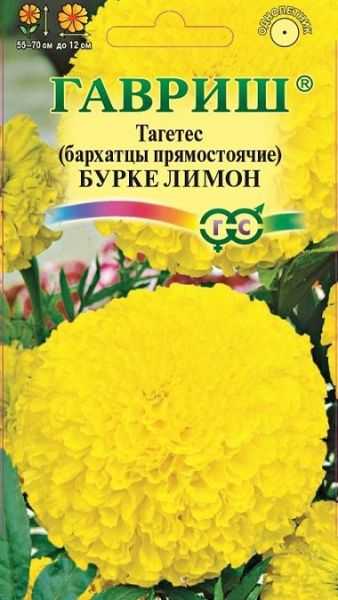 Однолетник Бархатцы пр. Бурке Лимон Гавриш