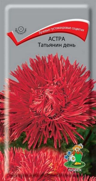 Однолетник Астра Татьянин день ЦВ Поиск