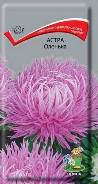 Однолетник Астра Оленька ЦВ Поиск